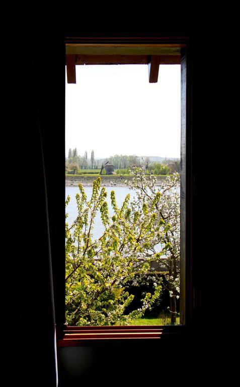 Duclair En Bord De Seine B&B 객실 사진